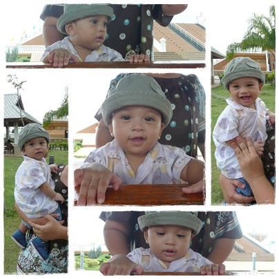 pompam44